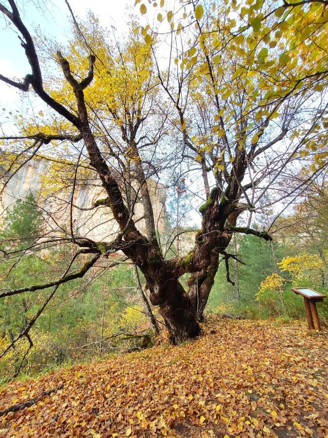 Alojamientos Rurales La Hoz ベテタ エクステリア 写真