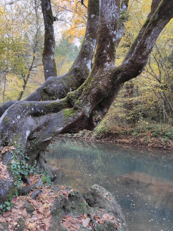 Alojamientos Rurales La Hoz ベテタ エクステリア 写真